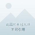 无上剑皇